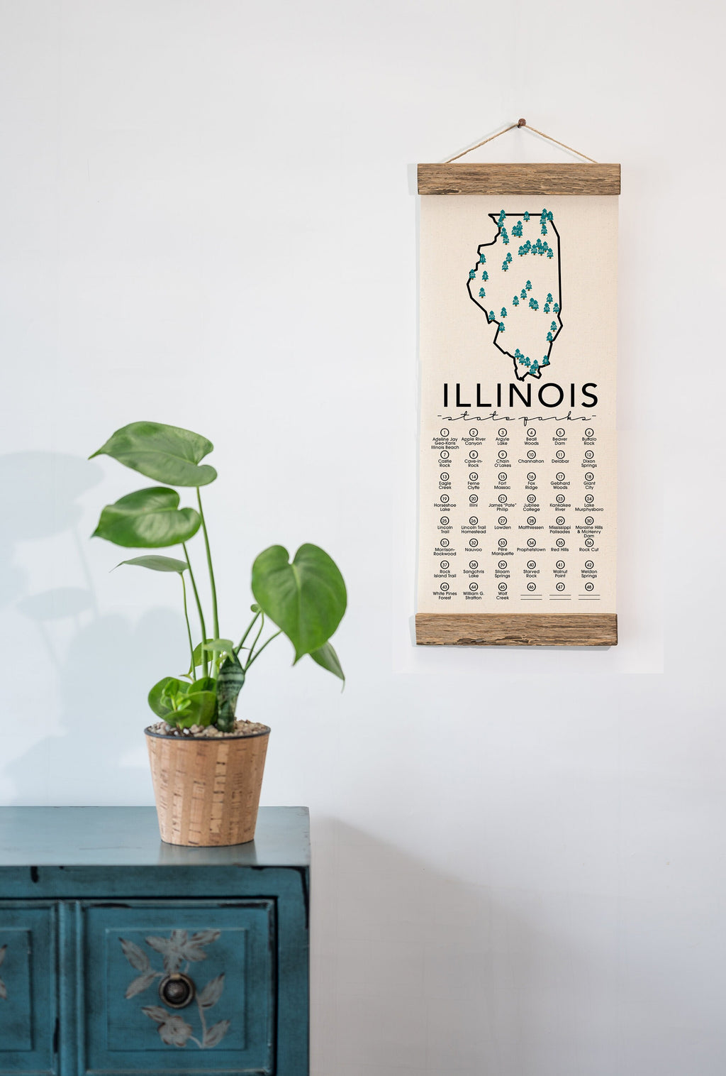 Illinois State Park Adventure Checklist - Hanging Canvas Map