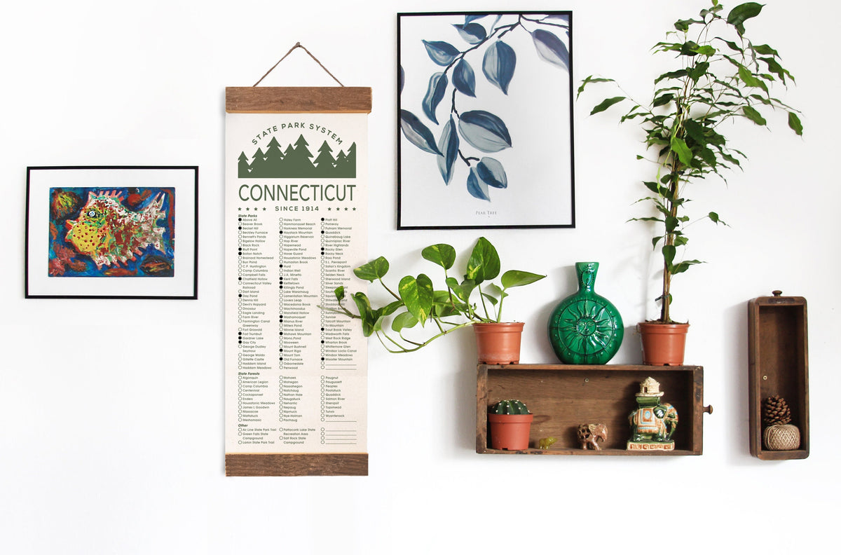 Connecticut State Park Checklists - Hanging Canvas Print