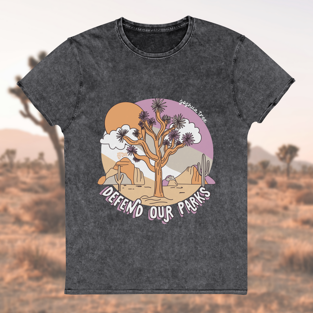 Joshua Tree Acid-Wash Tee